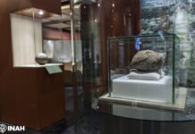 Por primera vez, exhiben pelota de hule con más de 3,600 años de antigüedad, proveniente de Veracruz