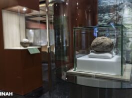 Por primera vez, exhiben pelota de hule con más de 3,600 años de antigüedad, proveniente de Veracruz