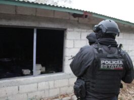 Acumuló Veracruz más de 34,000 delitos en cinco meses