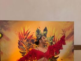 Ofrecerá Salsa Fest actividades recreativas y culturales desde temprana hora
