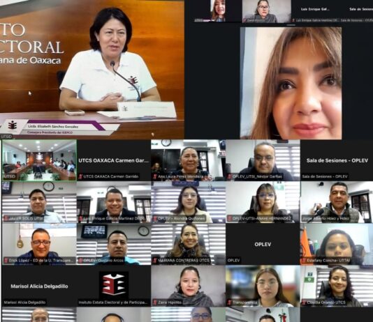 OPLE Veracruz comparte experiencia sobre Proceso Electoral Local Extraordinario Judicial con Instituto Estatal Electoral y de Participación Ciudadana de Oaxaca