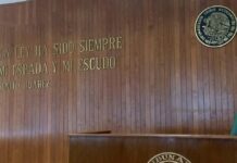 Veracruz cuenta con tres Tribunales Unitarios Agrarios; el de Xalapa concentra 3.7% de los asuntos concluidos del país