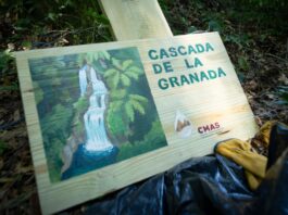 Realizan jornada de limpieza en la Cascada de La Granada en Coatepec