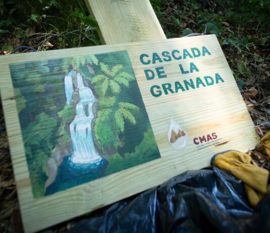 Realizan jornada de limpieza en la Cascada de La Granada en Coatepec