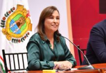 Puros Borregazos contra gobernadora Nahle, la mujer líder del movimiento transformador en Veracruz