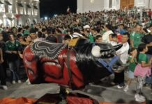 Estalla euforia futbolera en Xalapa; festejan en Plaza Lerdo el pase de México