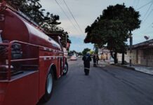 Atienden Bomberos municipales de Veracruz ataque de abejas; solicitan apoyo para localizar a familiares de un lesionado