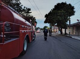 Atienden Bomberos municipales de Veracruz ataque de abejas; solicitan apoyo para localizar a familiares de un lesionado