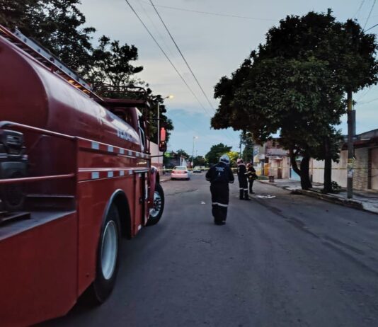 Atienden Bomberos municipales de Veracruz ataque de abejas; solicitan apoyo para localizar a familiares de un lesionado