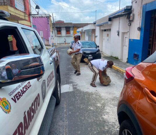 Liberan calles y banquetas secuestradas por «apartalugares» en Xalapa