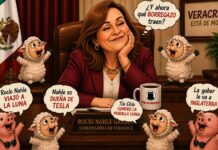 Puros borregazos contra la gobernadora Nahle, la mujer líder del movimiento transformador en Veracruz / Pablo Jair Ortega