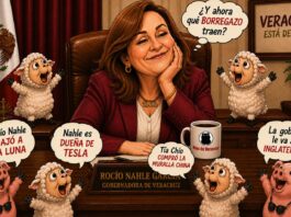 Puros borregazos contra la gobernadora Nahle, la mujer líder del movimiento transformador en Veracruz / Pablo Jair Ortega