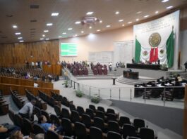 Amplía Congreso catálogo de perfiles profesionales para titularidad del Orfis
