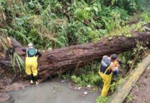 Atiende Gobierno de Veracruz incidencias por lluvias y refuerza prevención