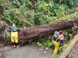 Atiende Gobierno de Veracruz incidencias por lluvias y refuerza prevención