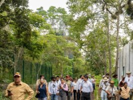UMA Naturalia promueve modelo integral de atención y manejo de fauna silvestre