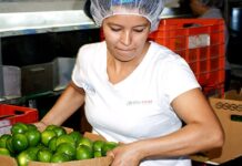 Veracruz, entre los estados con las peores condiciones laborales para mujeres: IMCO