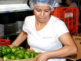 Veracruz, entre los estados con las peores condiciones laborales para mujeres: IMCO