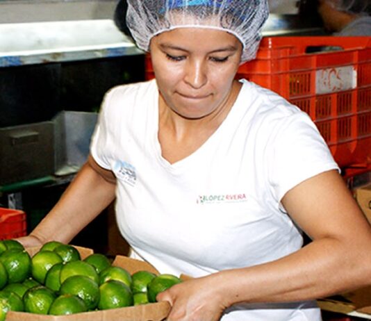 Veracruz, entre los estados con las peores condiciones laborales para mujeres: IMCO