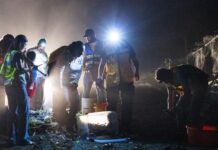 Protege Veracruz la migración del cangrejo azul con la Cangrejeada 2026