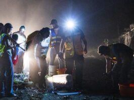 Protege Veracruz la migración del cangrejo azul con la Cangrejeada 2026