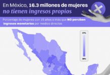 Veracruz, el estado con menor autonomía económica para las mujeres en México: IMCO