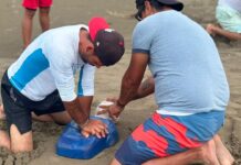 Capacita PC a guardavidas y corporaciones en prevención y seguridad acuática