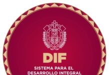 Ofrece CRISVER diagnósticos especializados de Electromiografía y Nasolaringoscopia Pediátrica
