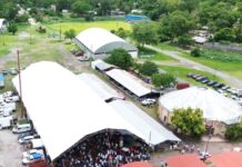 Con apoyo del Estado, inició en Tantoyuca el Tianguis Ganadero con más de 200 ejemplares exhibidos