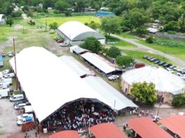 Con apoyo del Estado, inició en Tantoyuca el Tianguis Ganadero con más de 200 ejemplares exhibidos