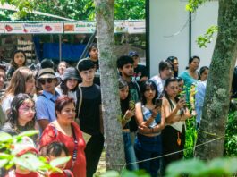 Más de mil asistentes participan en festival dedicado a la conservación de la vida silvestre