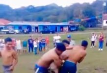 Activistas exigen cancelar el «cerdo encebado» en Santiago Tuxtla por maltrato animal