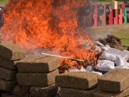 Encabeza Gobernadora destrucción de casi 800 kilos de drogas aseguradas en Veracruz