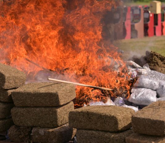 Encabeza Gobernadora destrucción de casi 800 kilos de drogas aseguradas en Veracruz
