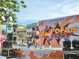Gran participación ciudadana en la primera edición de ExpoFan Veracruz 2026