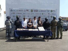 Operativo encabezado por SSP y FGE, con apoyo de fuerzas federales, asegura más de 54 kilos de presunta marihuana y 30 mil litros de hidrocarburo
