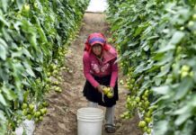 Veracruz, entre los estados con mayor carga de trabajo no remunerado para mujeres