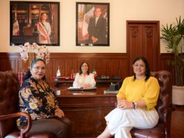 Los números de Claudia Tello / Yamiri Rodríguez Madrid