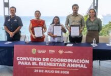 Sedema, PMA y FGE acuerdan acciones conjuntas para el bienestar animal