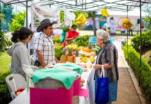 Invita Ayuntamiento a la tercera edición del Mercadito Bicentenario