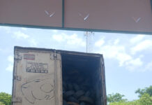 Más de 3 mil llantas en desuso dejan de contaminar en Coatzacoalcos tras ser trasladadas para su aprovechamiento