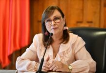 Puente del Sotavento: inicia este mes la obra que agilizará la movilidad entre Boca y Alvarado