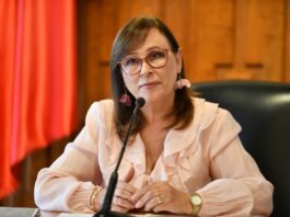 Puente del Sotavento: inicia este mes la obra que agilizará la movilidad entre Boca y Alvarado