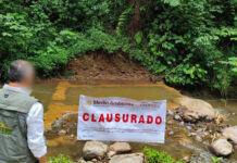 Profepa detecta construcción ilegal de una presa en arroyo de Xico