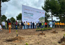 Profepa participa en jornadas de reforestación en Veracruz