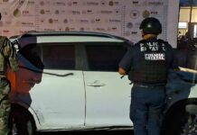Dos personas liberadas y 427 dosis aseguradas, saldo de operativos en 21 municipios