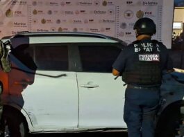 Dos personas liberadas y 427 dosis aseguradas, saldo de operativos en 21 municipios