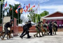 Veracruz referente nacional en capacitación K9, concluye 5.° diplomado táctico especializado