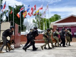 Veracruz referente nacional en capacitación K9, concluye 5.° diplomado táctico especializado
