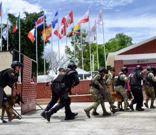 Veracruz referente nacional en capacitación K9, concluye 5.° diplomado táctico especializado